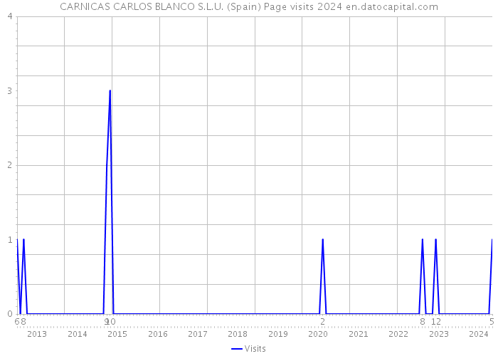 CARNICAS CARLOS BLANCO S.L.U. (Spain) Page visits 2024 