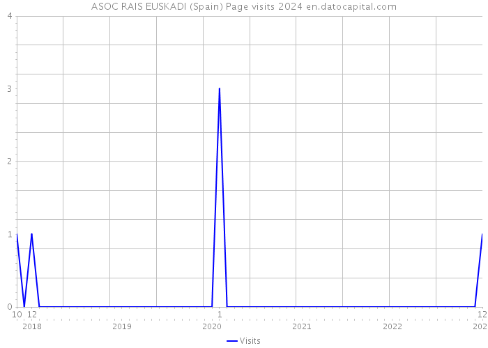 ASOC RAIS EUSKADI (Spain) Page visits 2024 
