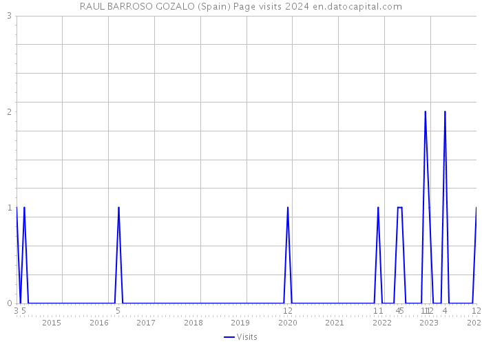 RAUL BARROSO GOZALO (Spain) Page visits 2024 