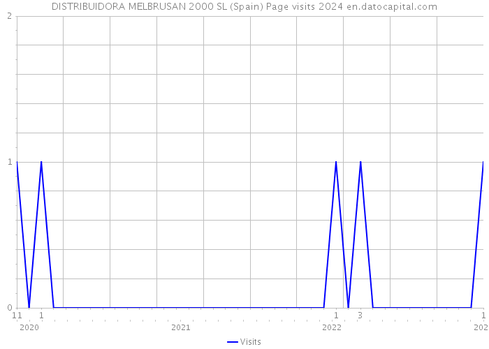DISTRIBUIDORA MELBRUSAN 2000 SL (Spain) Page visits 2024 