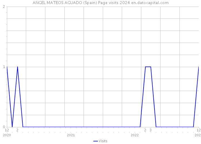 ANGEL MATEOS AGUADO (Spain) Page visits 2024 