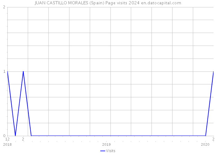 JUAN CASTILLO MORALES (Spain) Page visits 2024 