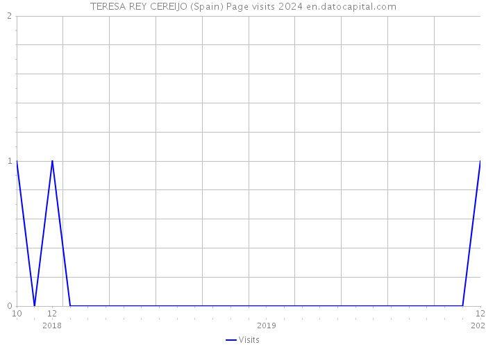 TERESA REY CEREIJO (Spain) Page visits 2024 