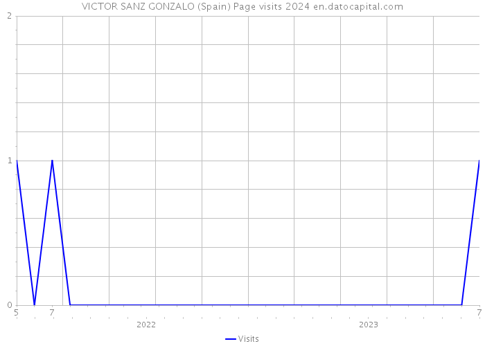 VICTOR SANZ GONZALO (Spain) Page visits 2024 