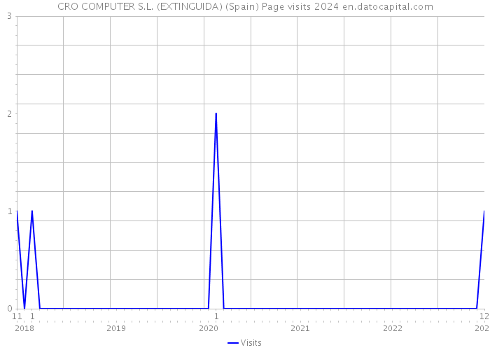 CRO COMPUTER S.L. (EXTINGUIDA) (Spain) Page visits 2024 