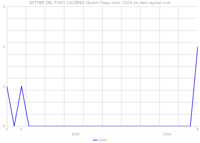 ESTHER DEL TORO CACERES (Spain) Page visits 2024 