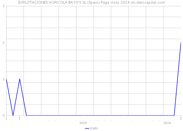EXPLOTACIONES AGRICOLA BAYO'S SL (Spain) Page visits 2024 