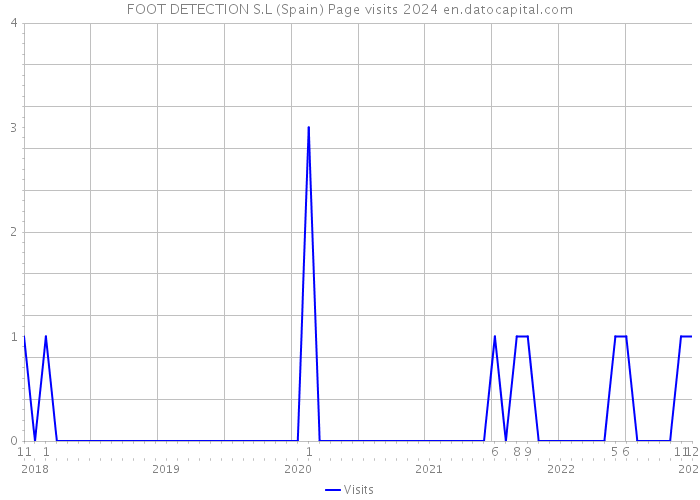 FOOT DETECTION S.L (Spain) Page visits 2024 