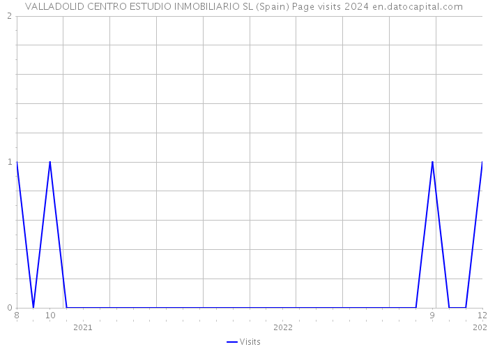 VALLADOLID CENTRO ESTUDIO INMOBILIARIO SL (Spain) Page visits 2024 