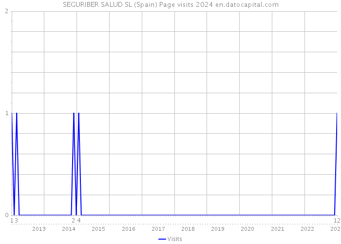 SEGURIBER SALUD SL (Spain) Page visits 2024 