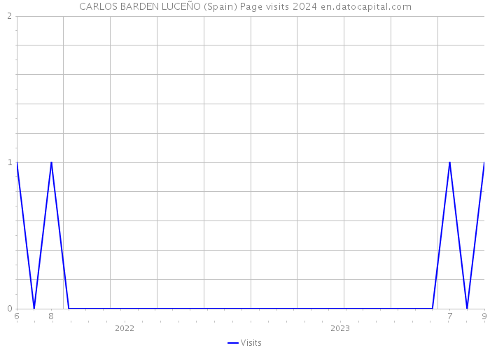 CARLOS BARDEN LUCEÑO (Spain) Page visits 2024 