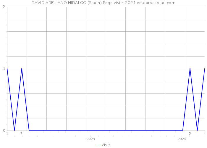 DAVID ARELLANO HIDALGO (Spain) Page visits 2024 