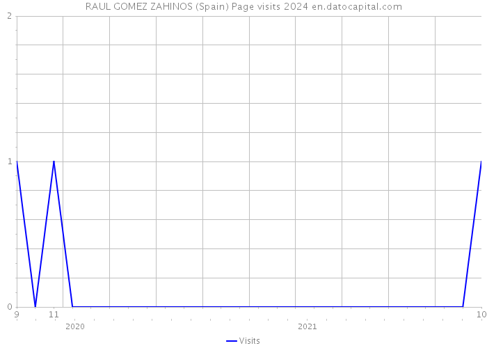 RAUL GOMEZ ZAHINOS (Spain) Page visits 2024 