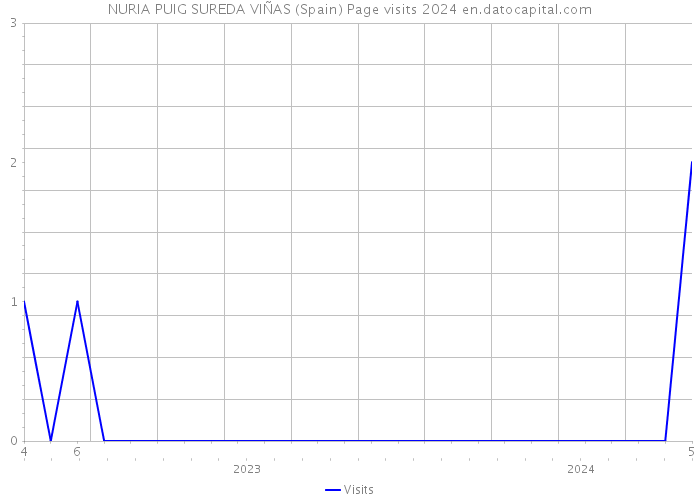 NURIA PUIG SUREDA VIÑAS (Spain) Page visits 2024 