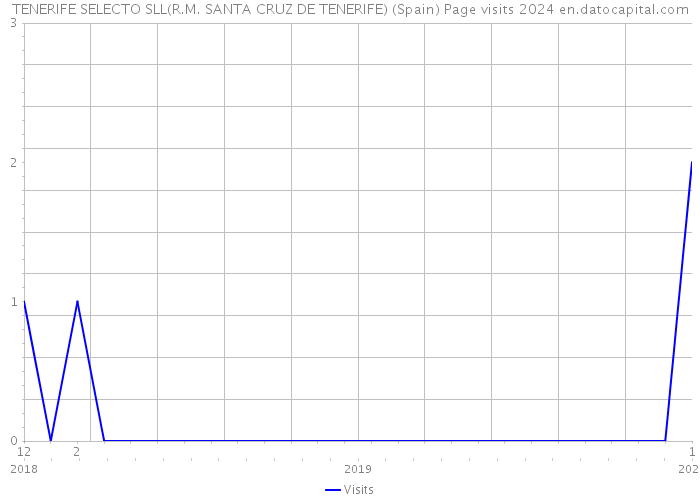 TENERIFE SELECTO SLL(R.M. SANTA CRUZ DE TENERIFE) (Spain) Page visits 2024 