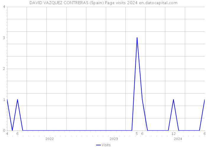DAVID VAZQUEZ CONTRERAS (Spain) Page visits 2024 