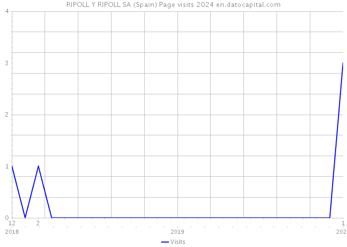 RIPOLL Y RIPOLL SA (Spain) Page visits 2024 