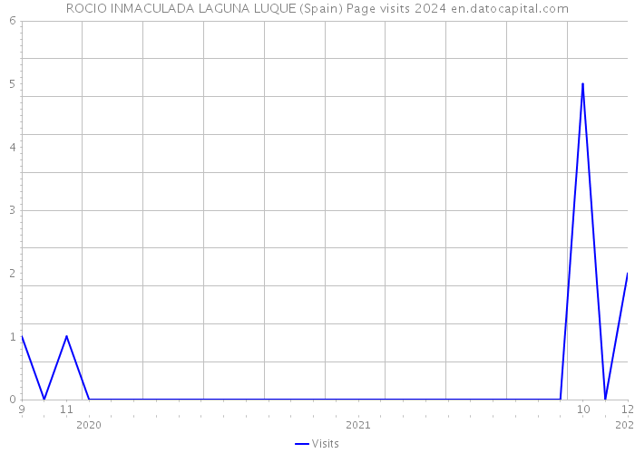 ROCIO INMACULADA LAGUNA LUQUE (Spain) Page visits 2024 