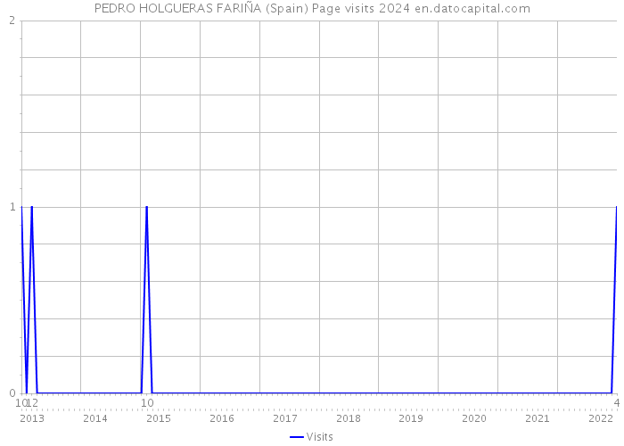 PEDRO HOLGUERAS FARIÑA (Spain) Page visits 2024 