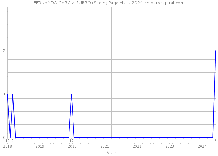 FERNANDO GARCIA ZURRO (Spain) Page visits 2024 