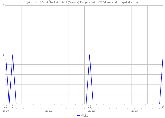 JAVIER PESTAÑA PASERO (Spain) Page visits 2024 
