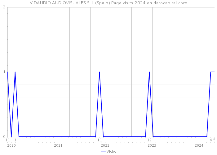 VIDAUDIO AUDIOVISUALES SLL (Spain) Page visits 2024 