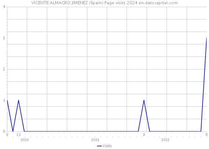 VICENTE ALMAGRO JIMENEZ (Spain) Page visits 2024 
