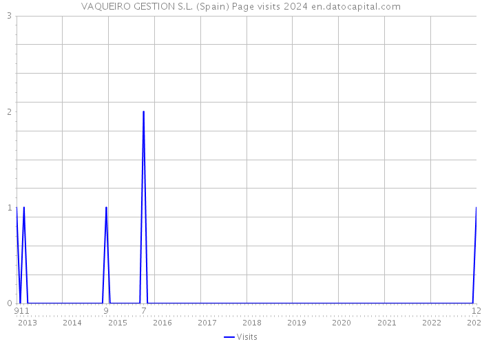 VAQUEIRO GESTION S.L. (Spain) Page visits 2024 