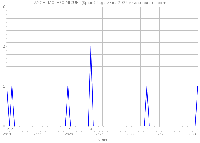 ANGEL MOLERO MIGUEL (Spain) Page visits 2024 