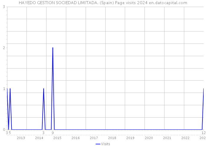 HAYEDO GESTION SOCIEDAD LIMITADA. (Spain) Page visits 2024 