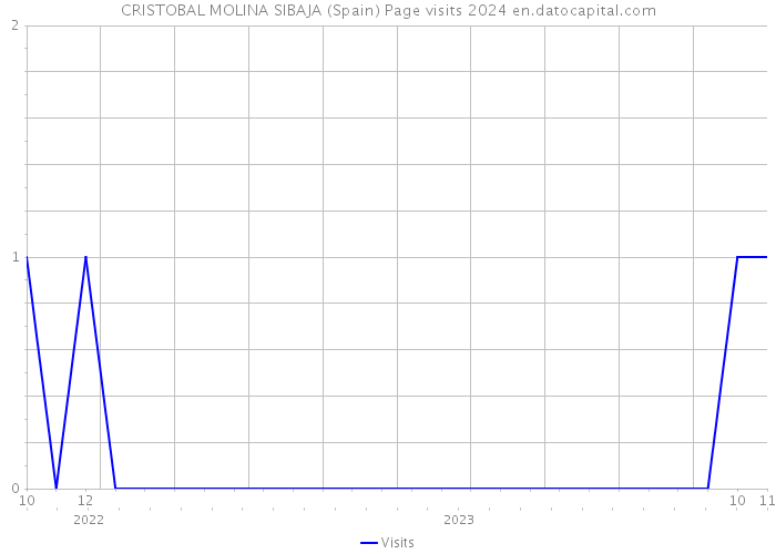 CRISTOBAL MOLINA SIBAJA (Spain) Page visits 2024 