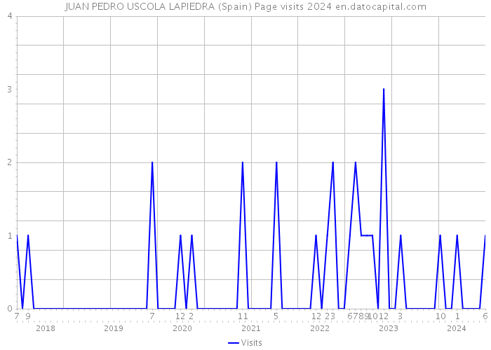 JUAN PEDRO USCOLA LAPIEDRA (Spain) Page visits 2024 