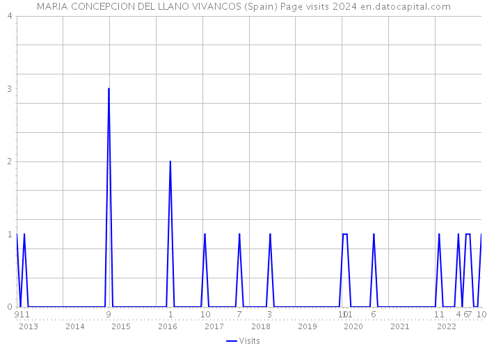 MARIA CONCEPCION DEL LLANO VIVANCOS (Spain) Page visits 2024 