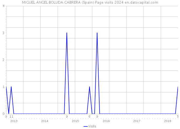 MIGUEL ANGEL BOLUDA CABRERA (Spain) Page visits 2024 
