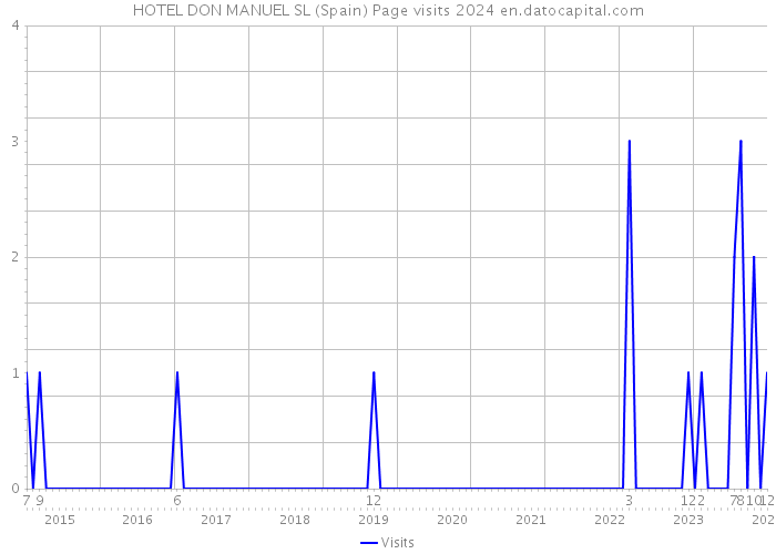HOTEL DON MANUEL SL (Spain) Page visits 2024 