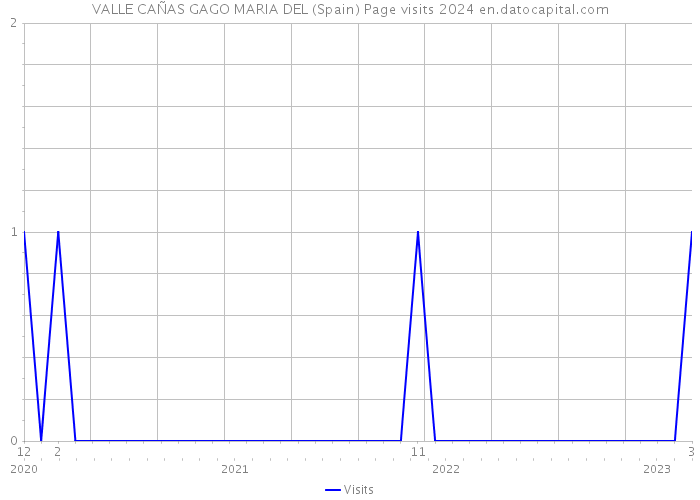 VALLE CAÑAS GAGO MARIA DEL (Spain) Page visits 2024 
