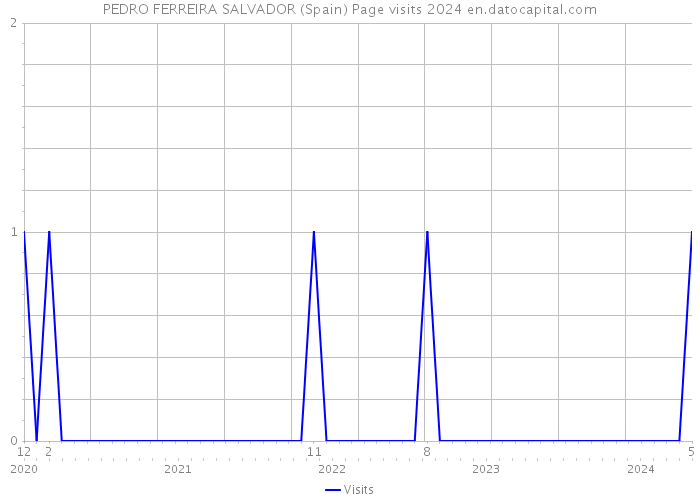 PEDRO FERREIRA SALVADOR (Spain) Page visits 2024 
