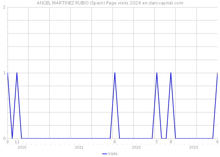 ANGEL MARTINEZ RUBIO (Spain) Page visits 2024 