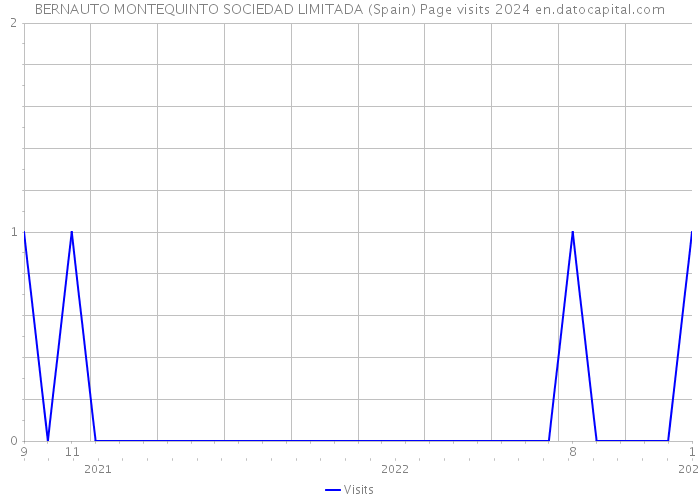 BERNAUTO MONTEQUINTO SOCIEDAD LIMITADA (Spain) Page visits 2024 