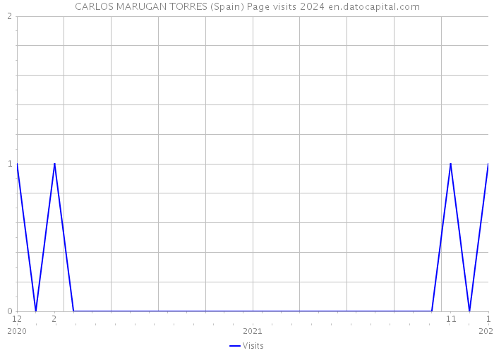 CARLOS MARUGAN TORRES (Spain) Page visits 2024 