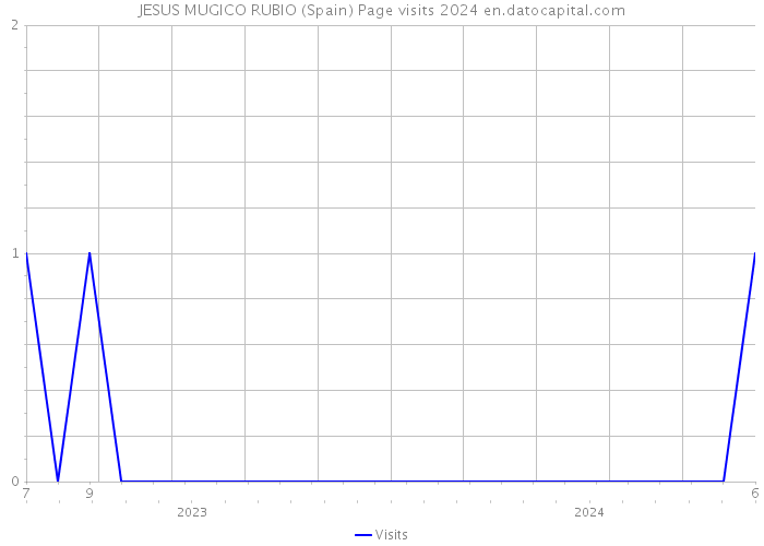 JESUS MUGICO RUBIO (Spain) Page visits 2024 