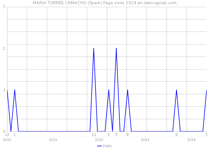 MARIA TORRES CAMACHO (Spain) Page visits 2024 