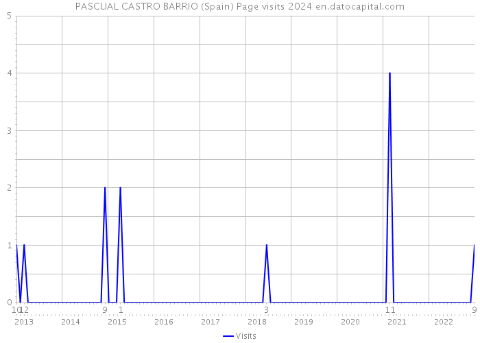 PASCUAL CASTRO BARRIO (Spain) Page visits 2024 