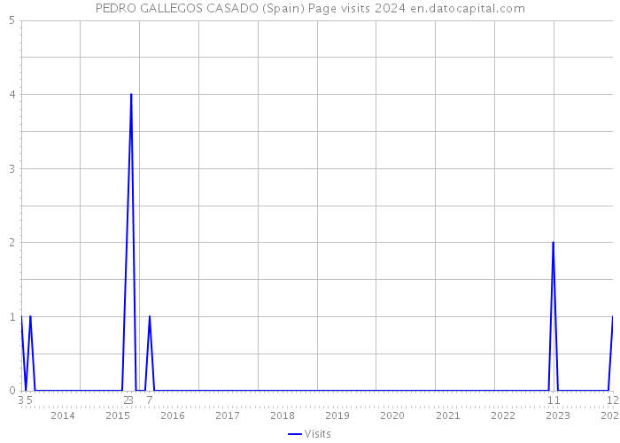PEDRO GALLEGOS CASADO (Spain) Page visits 2024 
