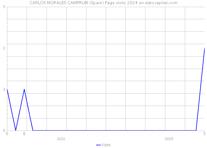 CARLOS MORALES CAMPRUBI (Spain) Page visits 2024 