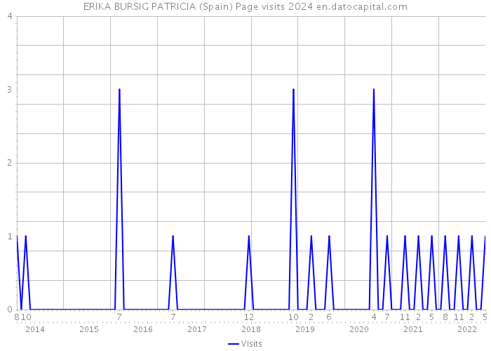 ERIKA BURSIG PATRICIA (Spain) Page visits 2024 