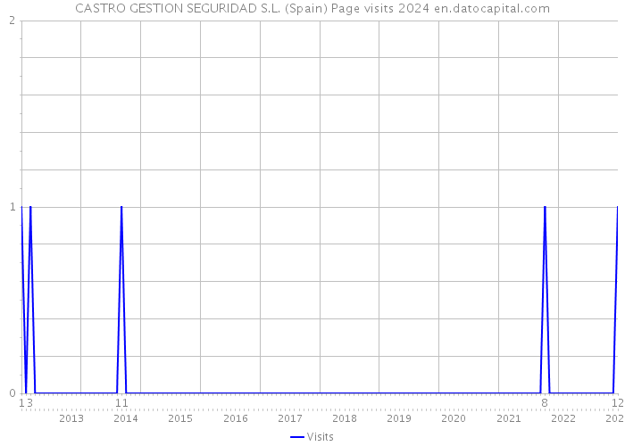CASTRO GESTION SEGURIDAD S.L. (Spain) Page visits 2024 