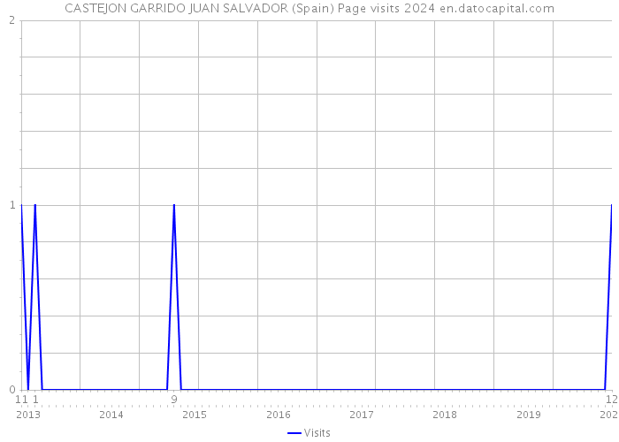 CASTEJON GARRIDO JUAN SALVADOR (Spain) Page visits 2024 