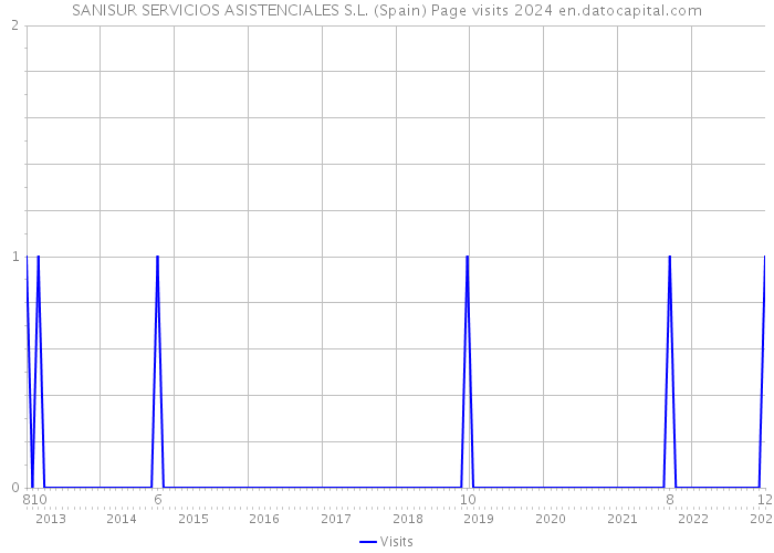 SANISUR SERVICIOS ASISTENCIALES S.L. (Spain) Page visits 2024 