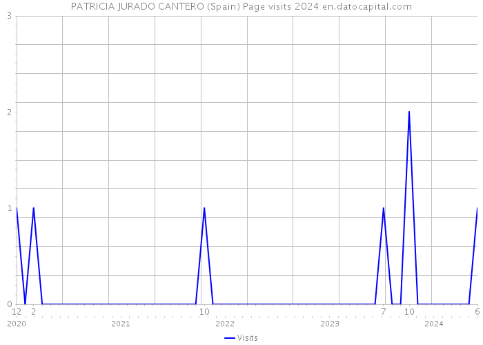 PATRICIA JURADO CANTERO (Spain) Page visits 2024 